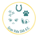 granvidaservicios.org